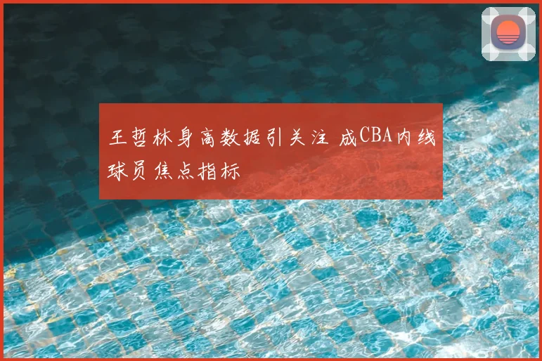 王哲林身高数据引关注 成CBA内线球员焦点指标