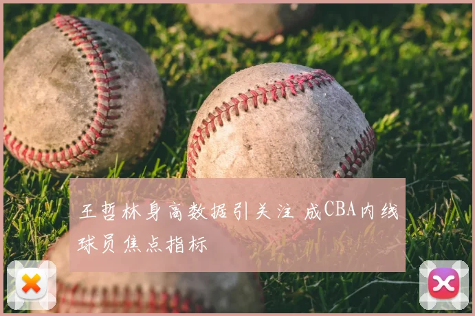 王哲林身高数据引关注 成CBA内线球员焦点指标