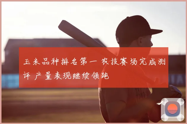 玉米品种排名第一 农技赛场完成测评 产量表现继续领跑
