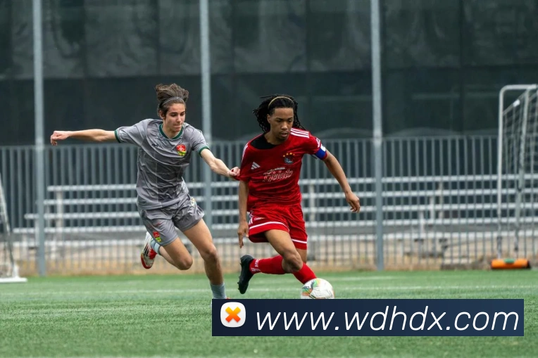 App Interface Preview