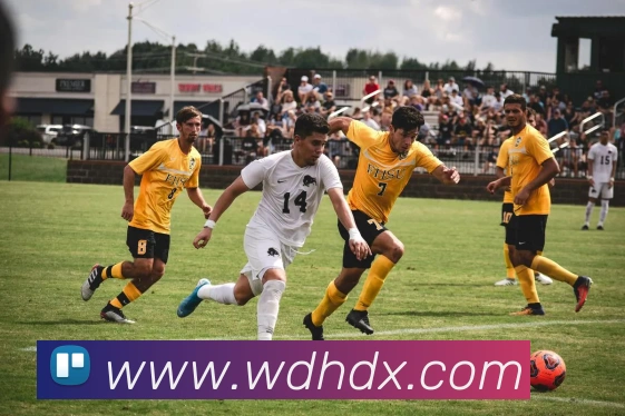 数据防护可视化